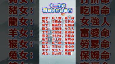十二生肖 看看你的命準否 #生肖 #運勢  #玄學 #風水 #命理