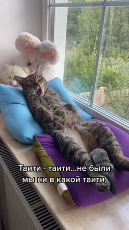 #TikTokКиноакадемия2021 #врек #рекомендации #fypシ