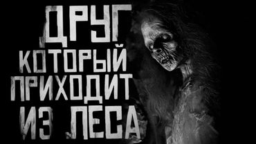 ДРУГ, КОТОРЫЙ ПРИХОДИТ ИЗ ЛЕСА.. Страшные истории на ночь. Страшилки на ночь.