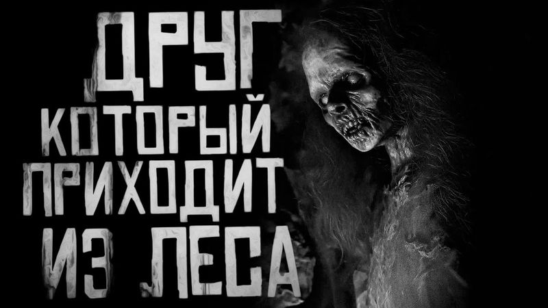 ДРУГ, КОТОРЫЙ ПРИХОДИТ ИЗ ЛЕСА.. Страшные истории на ночь. Страшилки на ночь.