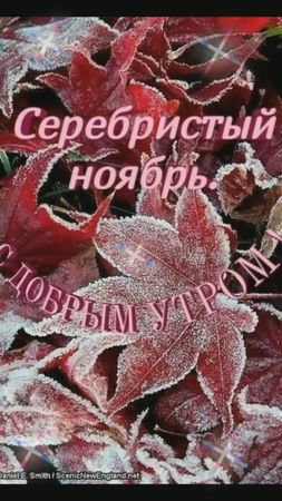 TikTok video #7026220932964404482