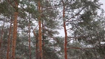 Деньги в долг. Немного о финансовой грамотности