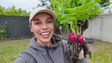 Sehari dalam Hidupku - Sabtu