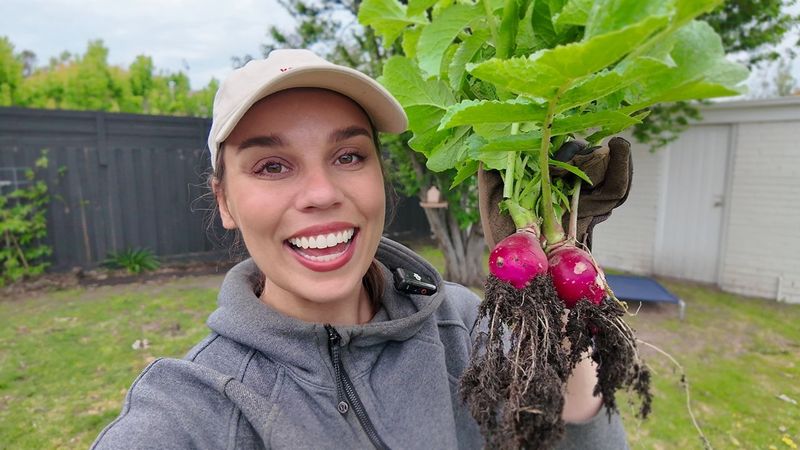 Sehari dalam Hidupku - Sabtu