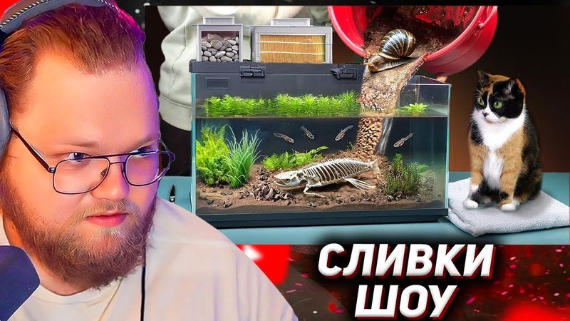 БОЛОТО В АКВАРИУМЕ ИЗ БУДУЩЕГО - ДЕНЬ 189 / РЕАКЦИЯ T2X2