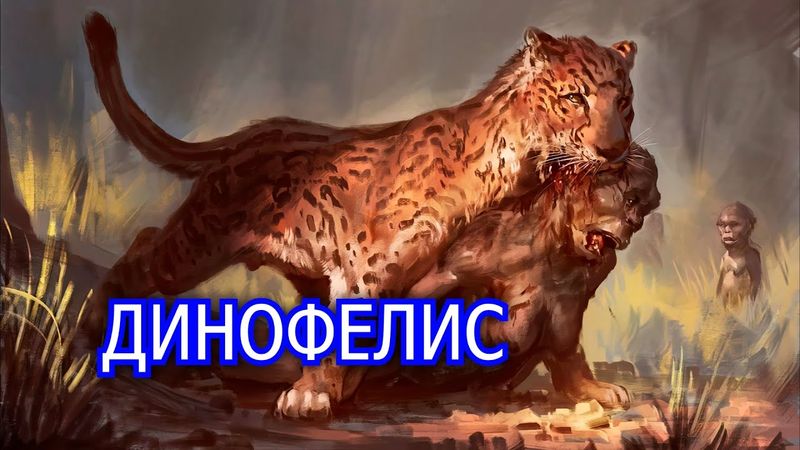 Динофелис. Саблезубый людоед плиоцена. Вымершее животное. Видео про животных