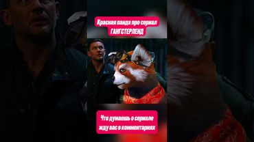 Красная панда про сериал ГАНГСТЕРЛЕНД #томхарди #сериал #енотикпаша #shorts #кино