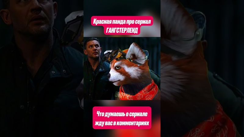 Красная панда про сериал ГАНГСТЕРЛЕНД #томхарди #сериал #енотикпаша #shorts #кино