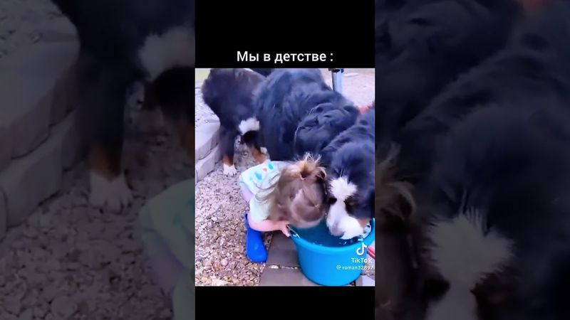 Было дело, вместе с коровами с речки пил. #детство#правдажизни#