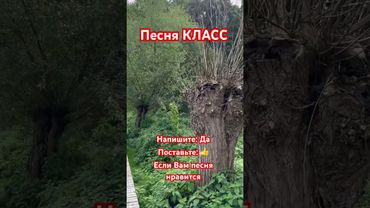 Абсолютно классная песня замечательные слова наслаждайтесь #музыка #мелодиипесни #музыкальность