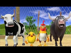 El Pollito pío 3d  el Toro y el Tractor de la Granja  -el Pollito y el Tractor de la Granja