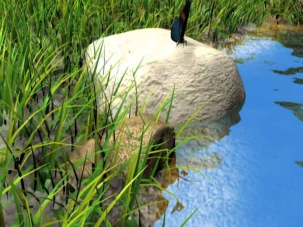 Заставка "Лето на TVM" 2006г