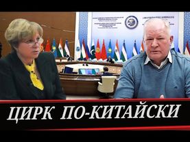 Система и Антисистема, но хозяин один  \\  Как управляют стадами (М. Хохлова и В. Задерей)
