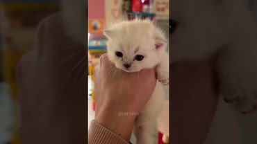 eğer ünlü şarkıcı çiftin arkadaşlarıyla yemek yediği