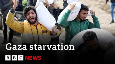 Almost a third of people in Gaza not eating for days, UN says | BBC News