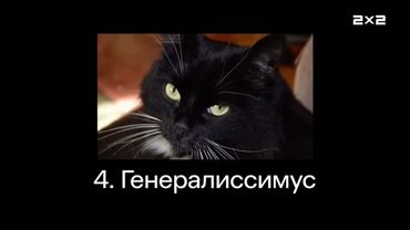 2x2 Russia - "Top 5 worst pet names" bumper (Autumn 2024)