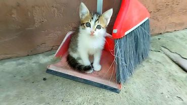 #Славянск. 12 сентября 2025г. Вечер.