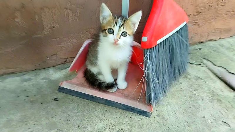 #Славянск. 12 сентября 2025г. Вечер.