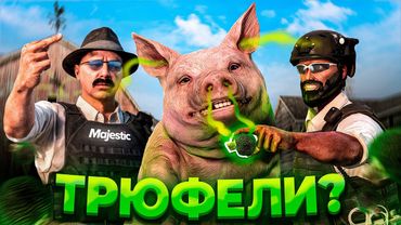 ПАТРУЛЬНЫЙ СВИН раскрывает БАНДУ ТРЮФЕЛЬНЫХ КОНТРАБАНДИСТОВ В ГТА РП