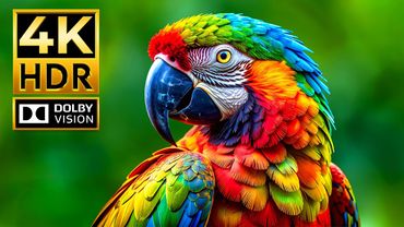 Jaw-Dropping 4K HDR Wildlife | Immersive Animal World in Dolby Vision & 120 fps