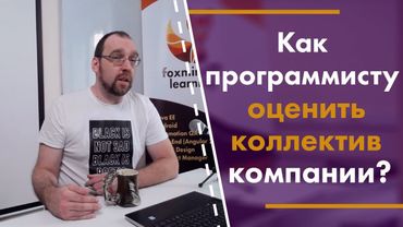 Как программисту оценить коллектив компании?