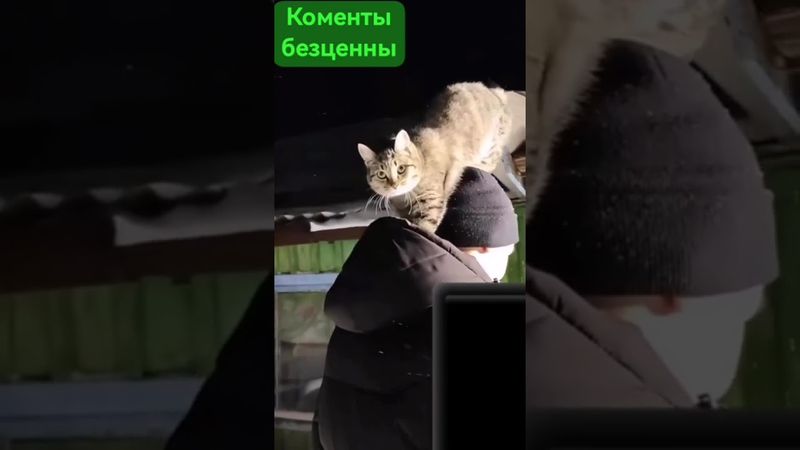 #психология#психовнет#взаимнаяподписка