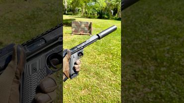 Quiet Volquartsen Mamba .22