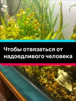 Слова. Узлом завяжу путь твой имя ко мне приложу ко мне не ходить мне...