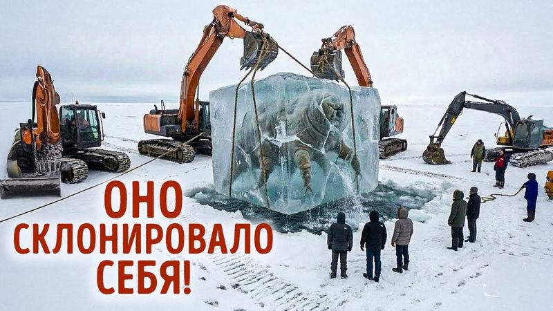 Ученые оживили существо, замороженное в Сибири на 20 000 лет