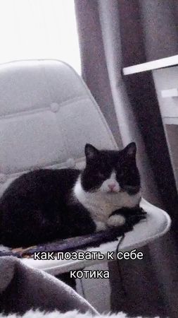 TikTok video #7066771835496582401