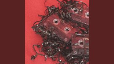 научился летать