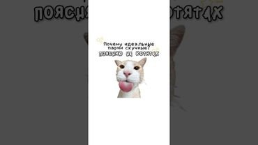 Почему идеальные парни скучные?