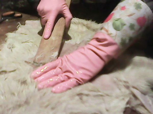 Сыромятная кожа. Обезволашивание шкуры.