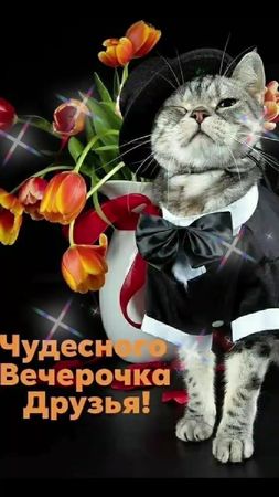 Хорошего вечера!!!