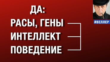 ДА: расы, гены, интеллект и поведение.   #веллер  15 12 2025
