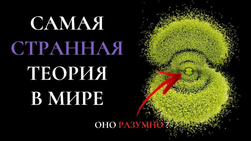 Самая СТРАННАЯ теория в МИРЕ или ПОЧЕМУ АТОМЫ  имеют СОЗНАНИЕ ?