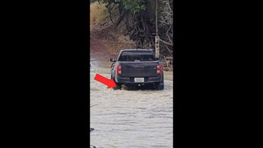 Moment car runs over croc