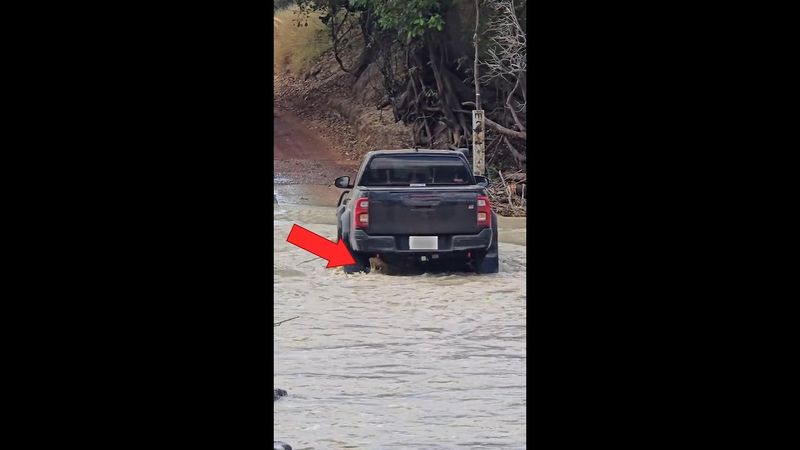 Moment car runs over croc