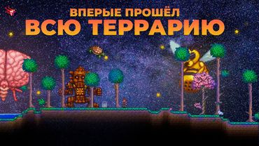 ВПЕРВЫЕ ПРОШЁЛ ТЕРРАРИЮ В 2023 ГОДУ это было весело