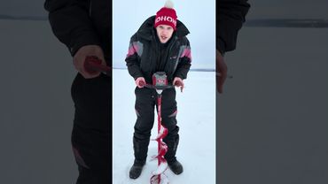 25 января 2026 г.