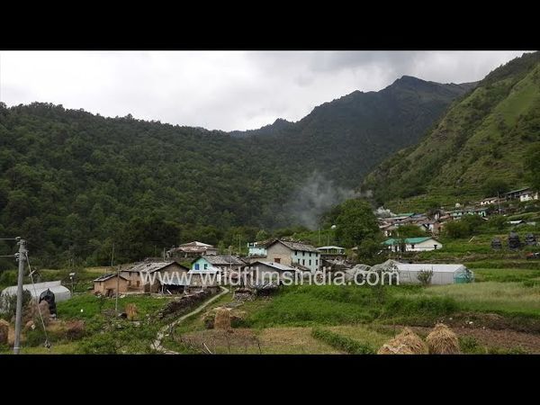 The view of Jatoli village is surrounded by beautiful greenery and the mountains, Uttarakhand