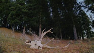 Olde Throne - The Most Elder Days (Official Music Video)