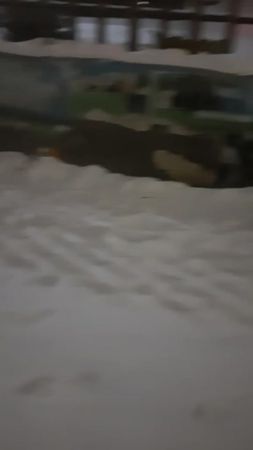 TikTok video #7043046606798687489