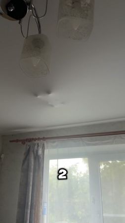 Он что еще и нагадил?😺