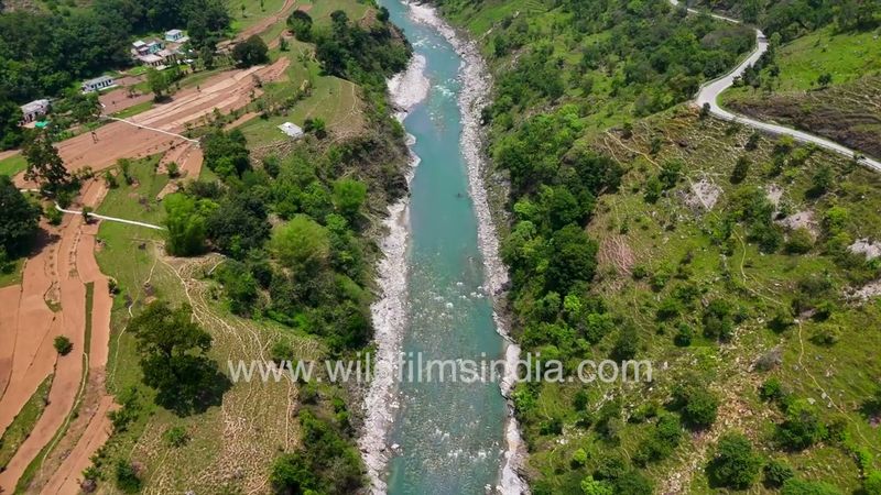 One of India's cleanest rivers: Ramganga at Berinag before reaching Corbett, home to Otters, gharial