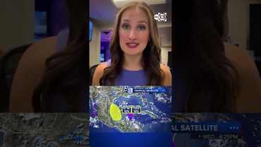 Tropical wave has low chance of development in the Gulf