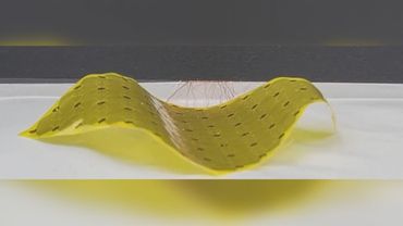 Складывается, ползает и захватывает: роботизированный лист создали в Южной Корее