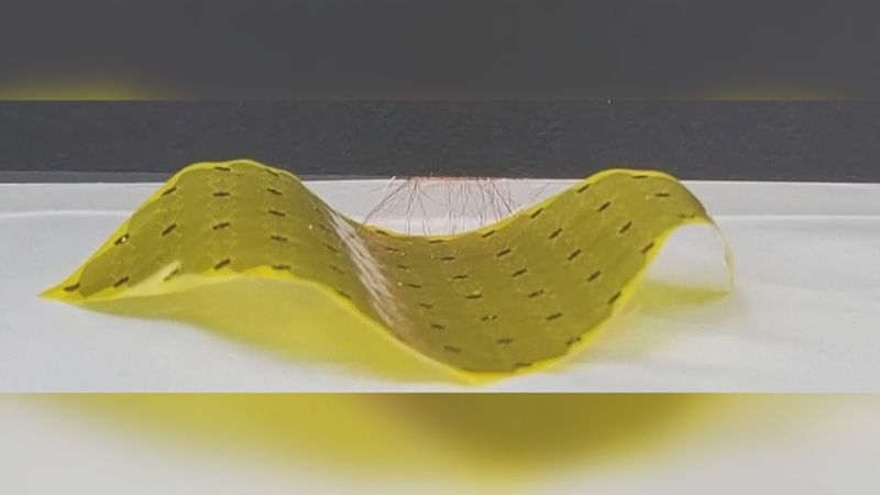 Складывается, ползает и захватывает: роботизированный лист создали в Южной Корее