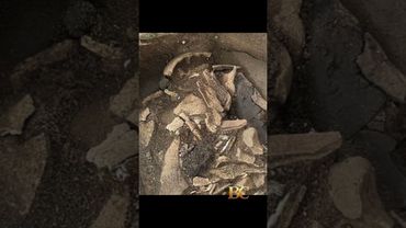 Sutton Hoo bucket believed to be cremation vessel