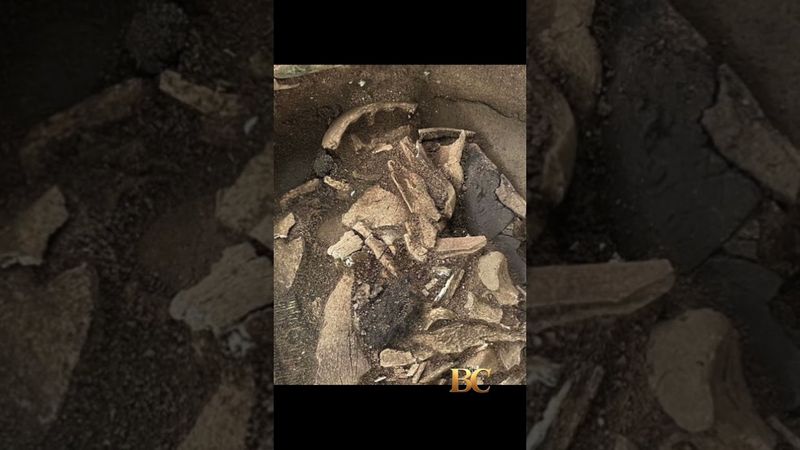 Sutton Hoo bucket believed to be cremation vessel